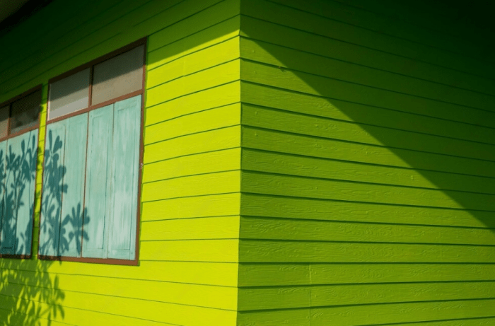 A green house with blue windows beside a tree.