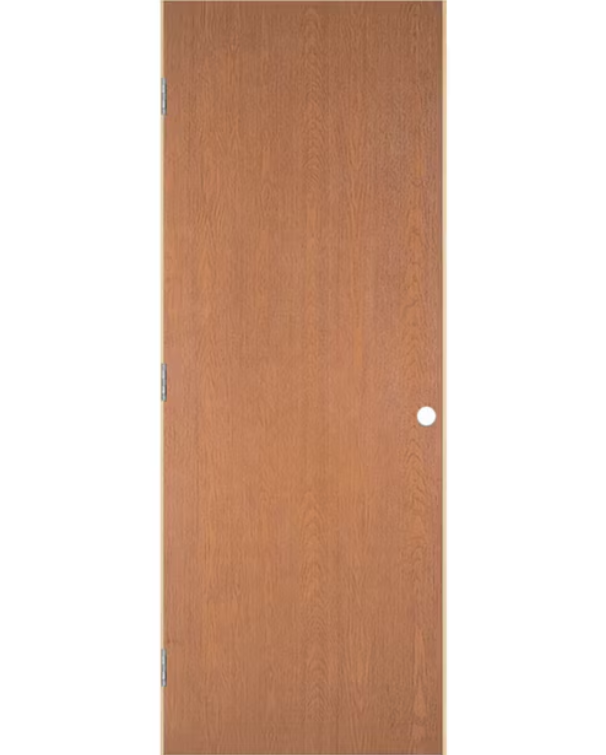 Contemporary Flush Hollow-Core Interior Door