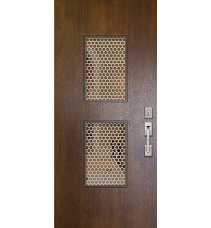 Newport Woodcraft Mahogany Contemporary Exterior Door with Metal Grid